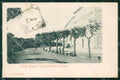 Livorno Città Viale Regina Margherita cartolina WX1723 – fronte