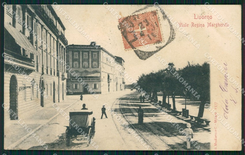 Livorno Città Viale Regina Margherita Carrozza cartolina WX1730 – fronte