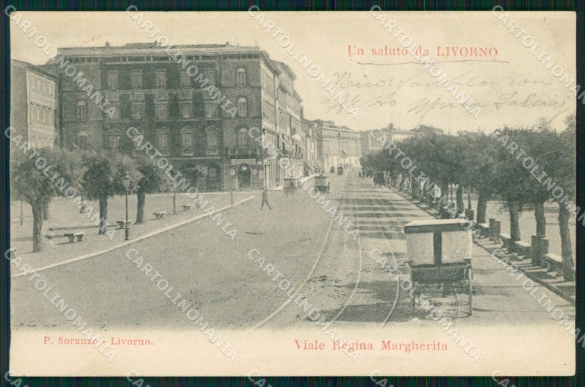 Livorno Città Viale Regina Margherita PIEGHINA cartolina WX1802 – fronte