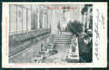 Pistoia Montecatini Stabilimento Tettuccio cartolina WX1950 – fronte