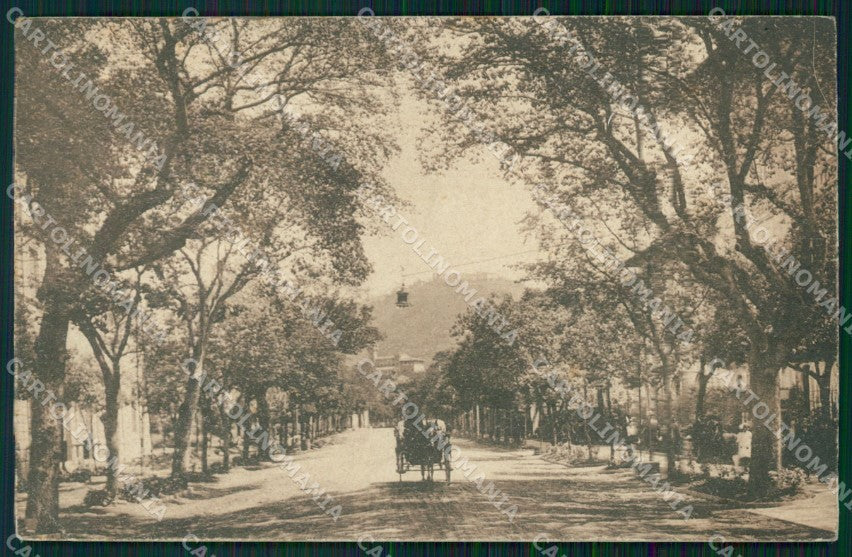 Pistoia Montecatini Viale Verdi Carrozza PIEGHINA cartolina WX2016 – fronte