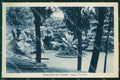 Pistoia Montecatini Parco Torretta PIEGHINA cartolina WX2088 – fronte