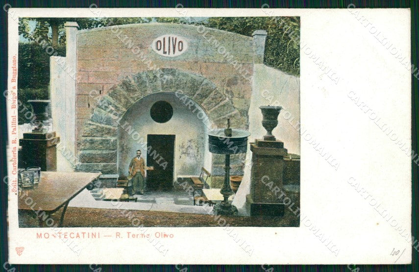 Pistoia Montecatini Terme Olivo cartolina WX2219 – fronte