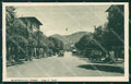 Pistoia Montecatini Viale Giuseppe Verdi Auto cartolina WX2409 – fronte