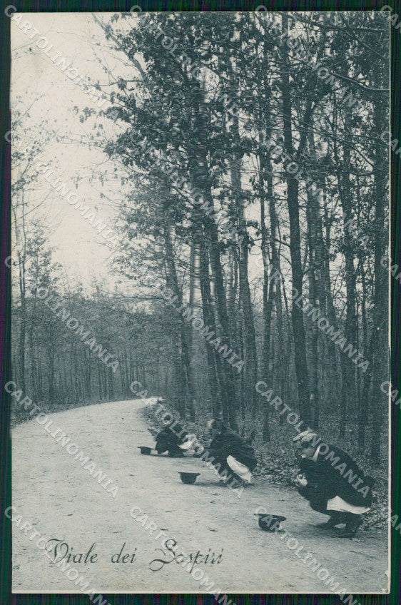 Pistoia Montecatini Viale dei Sospiri cartolina WX2453 – fronte