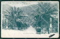 Genova Città Viale Vittorio Emanuele Carrozza PIEGHINA cartolina WX2865 – fronte