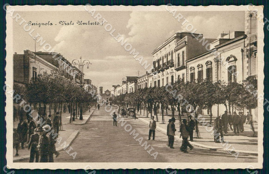 Foggia Cerignola Viale Umberto I cartolina WX7188 – fronte