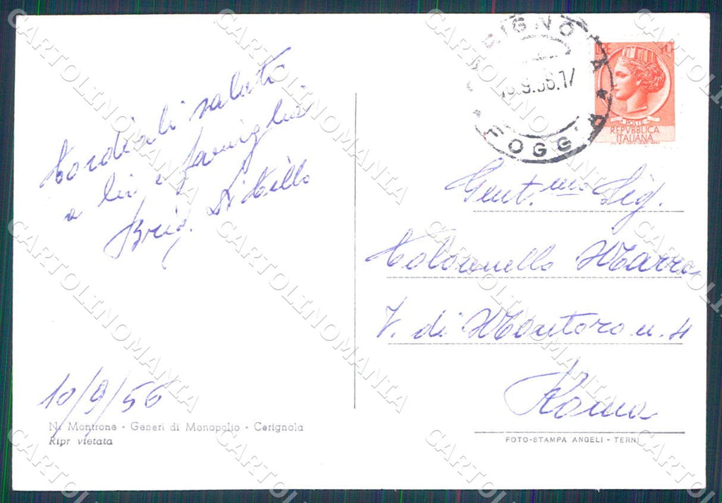 Foggia Cerignola Panorama foto FG ccartolina WX7203 – retro