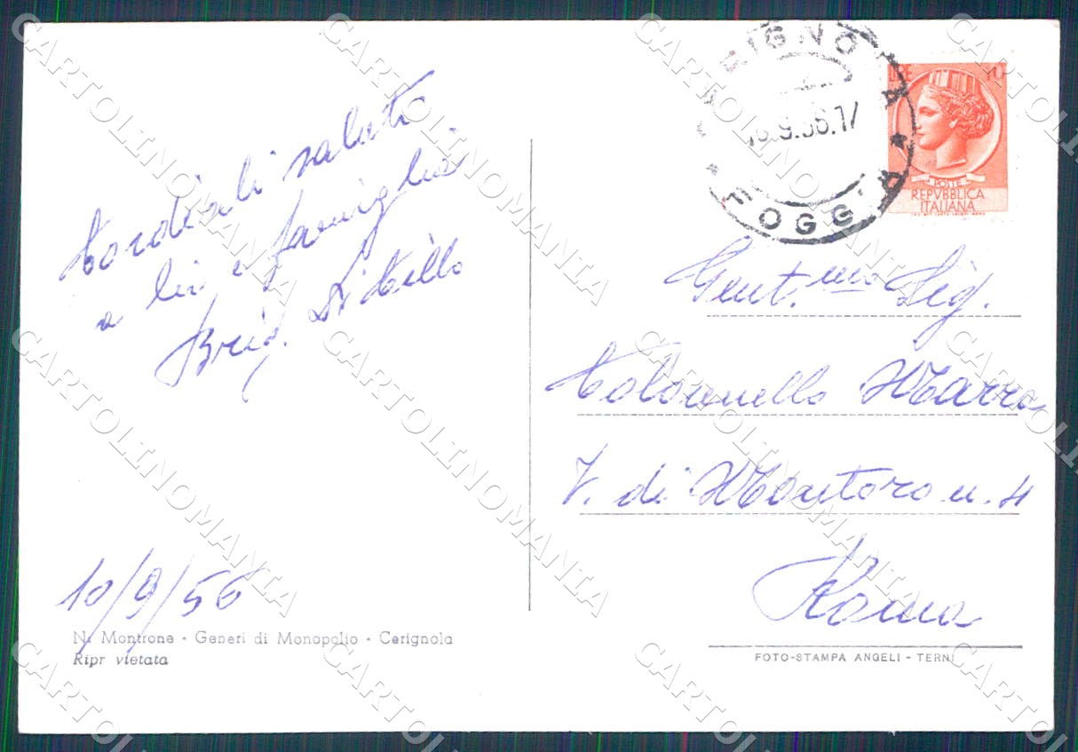 Foggia Cerignola Panorama foto FG ccartolina WX7203 – retro