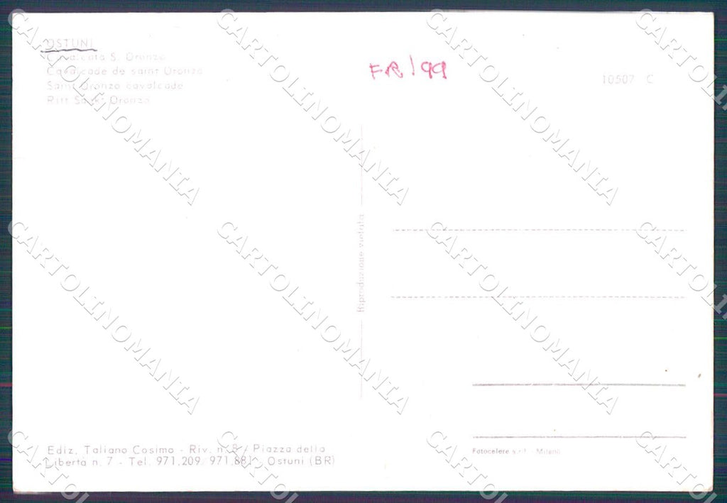 Brindisi Ostuni Cavalcata Santo Oronzo foto FG cartolina WX7215 – retro