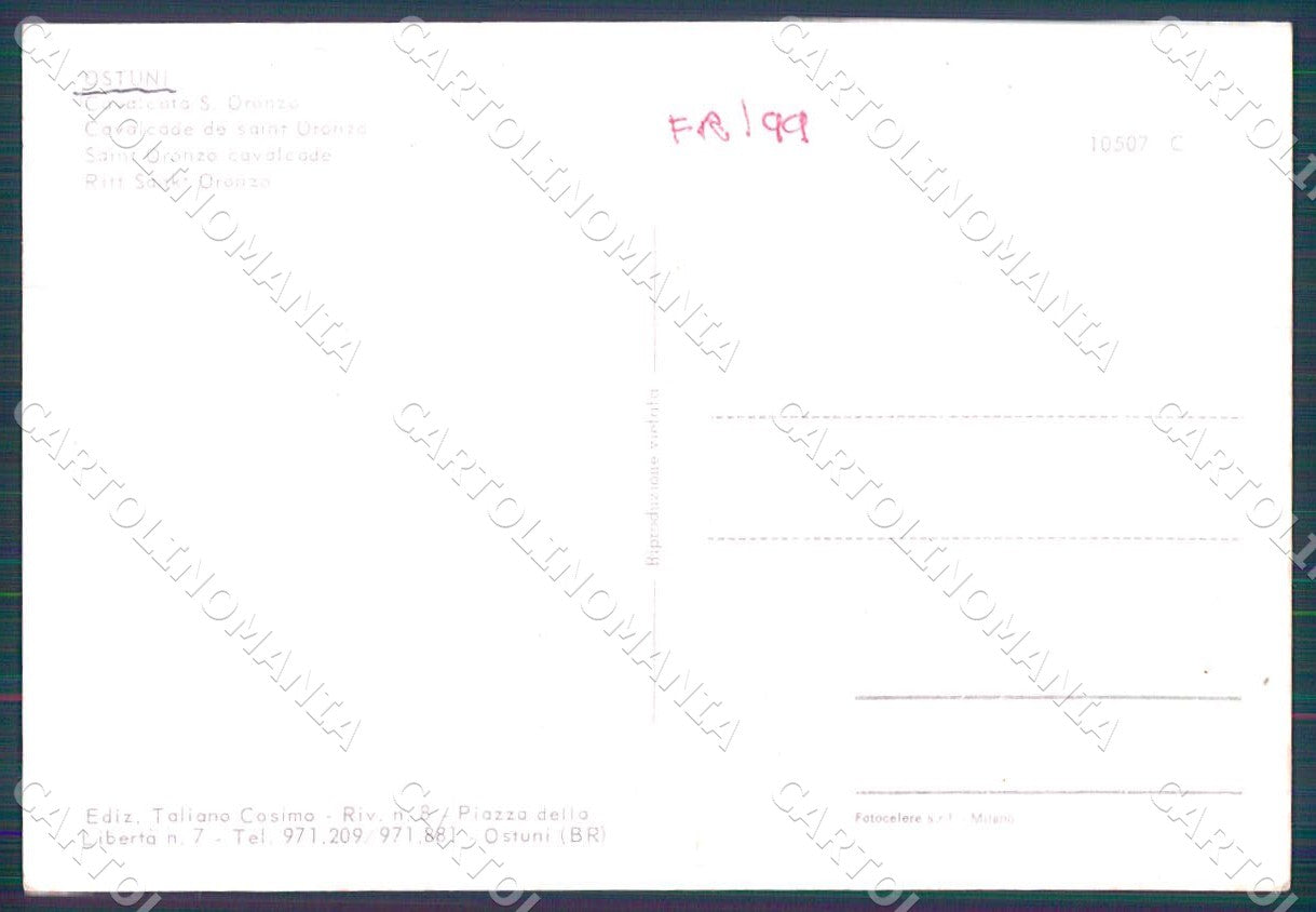Brindisi Ostuni Cavalcata Santo Oronzo foto FG cartolina WX7215 – retro