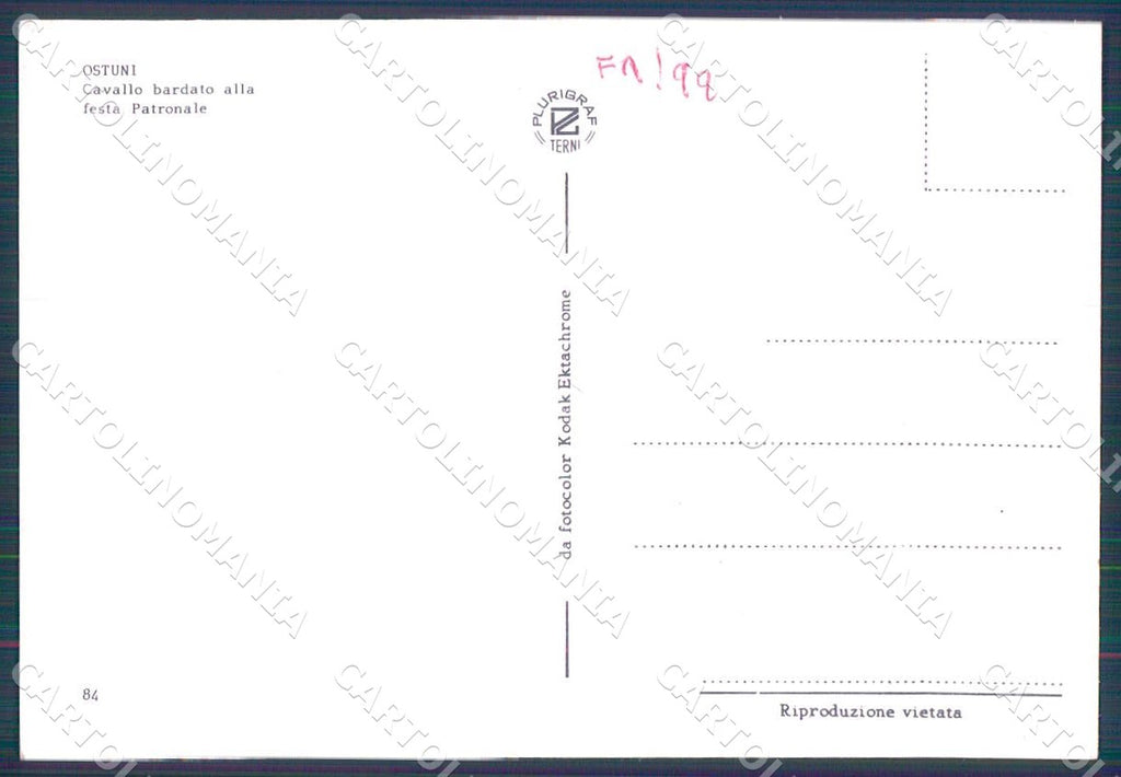 Brindisi Ostuni Cavallo Festa Patronale foto FG cartolina WX7216 – retro