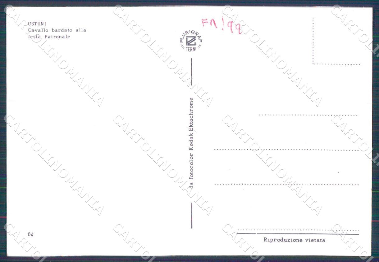 Brindisi Ostuni Cavallo Festa Patronale foto FG cartolina WX7216 – retro