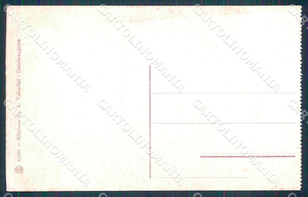 Cremona Casalmaggiore Via Azzo Porzio cartolina WX7359 – retro