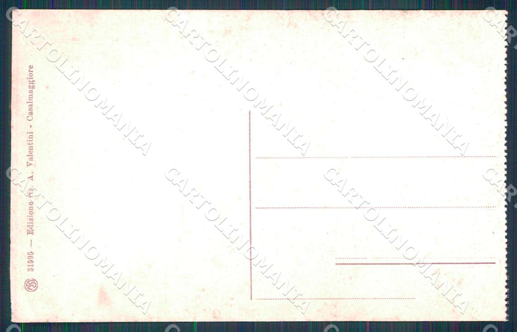 Cremona Casalmaggiore Panorama Fiume Po cartolina WX7360 – retro
