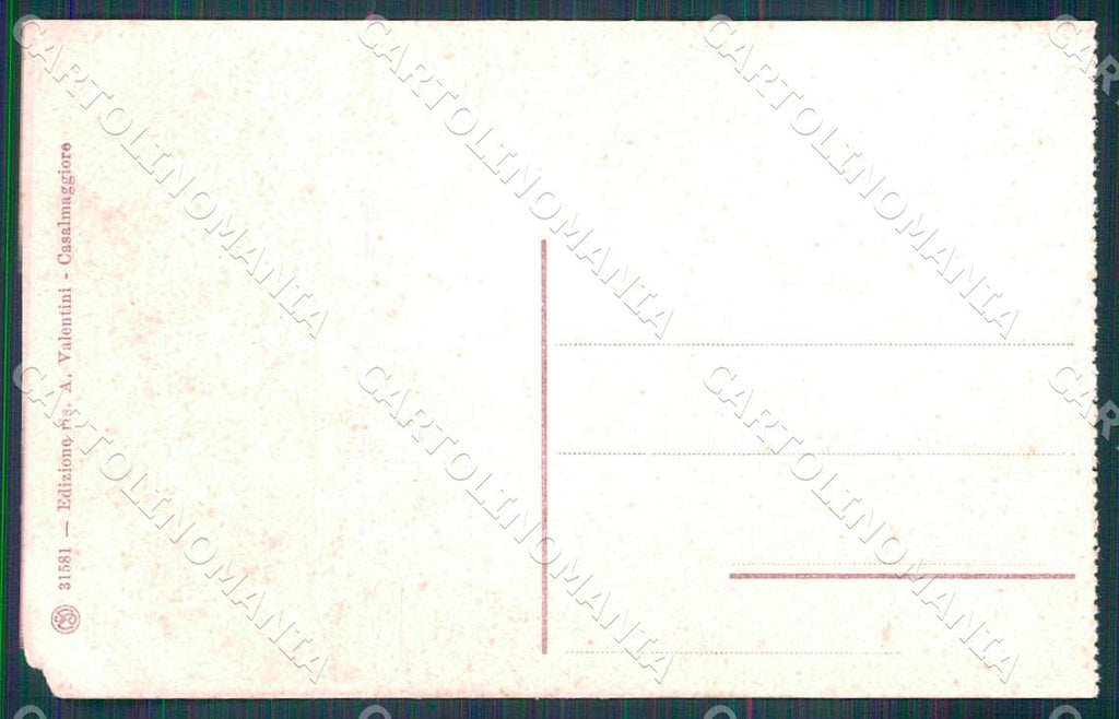 Cremona Casalmaggiore Panorama visto dal Po cartolina WX7367 – retro