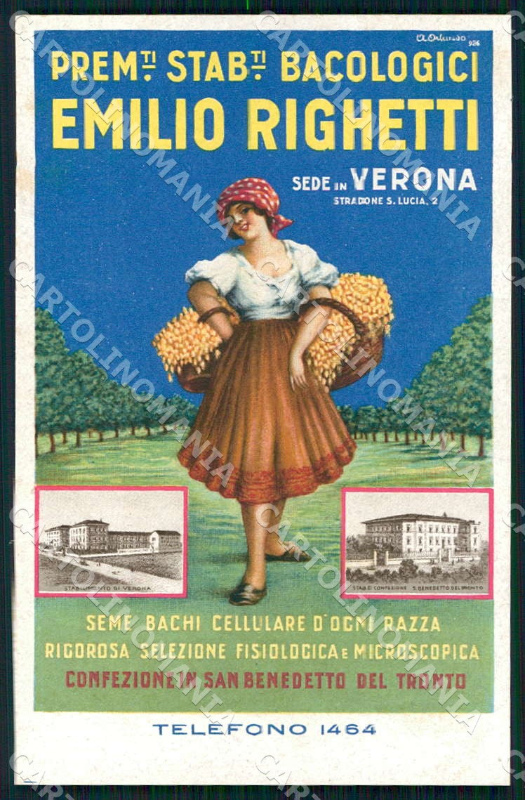 Verona San Benedetto del Tronto Bacologia Righetti Seta Orlando cartolina WX7441 – fronte