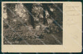 Napoli Gerace PIEGA Foto cartolina XB0549 – fronte