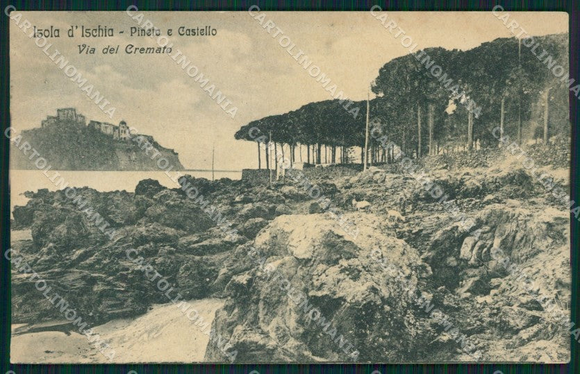 Napoli Ischia cartolina XB1278 – fronte