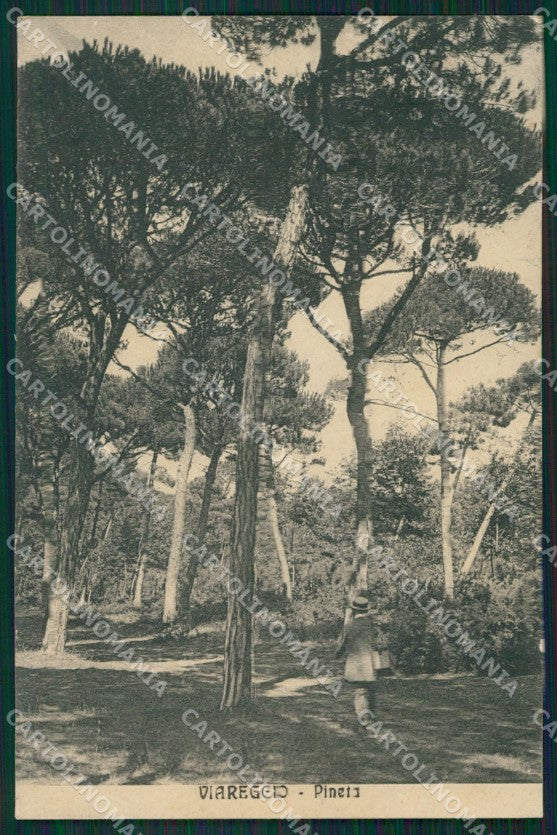 Lucca Viareggio cartolina XB1284 – fronte