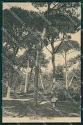 Lucca Viareggio cartolina XB1284 – fronte