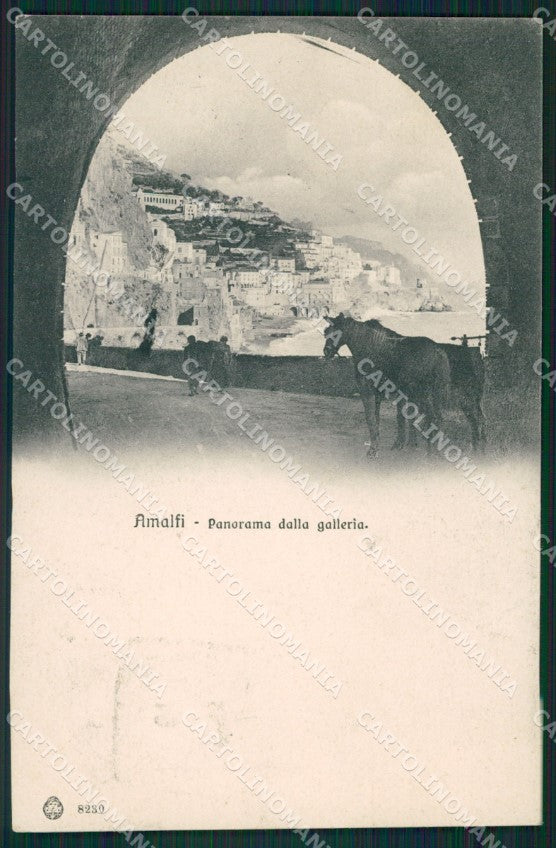 Salerno Amalfi Cavalli cartolina XB1778 – fronte