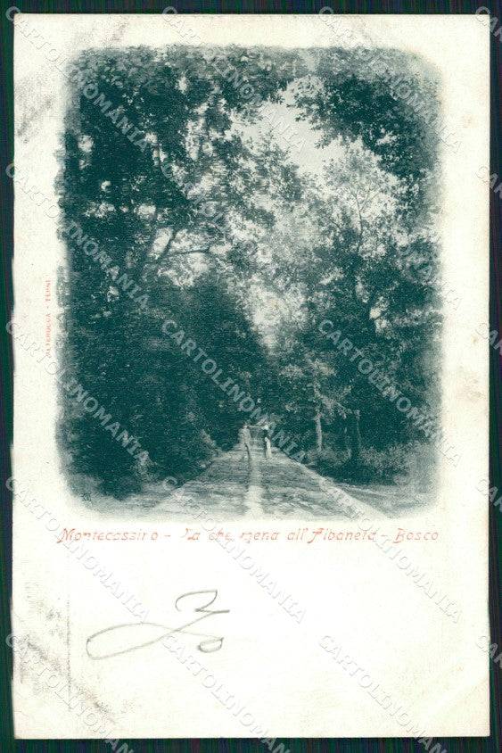 Frosinone Cassino Monte Cassino Albaneta Alterocca cartolina XB2053 – fronte