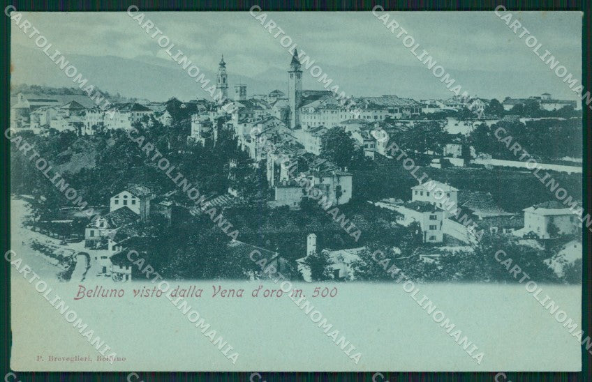 Belluno Città Chiaro di Luna cartolina XB2578 – fronte