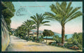 Imperia Sanremo cartolina XB2889 – fronte