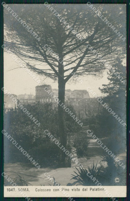 Roma Città Colosseo NPG Foto cartolina XB3216 – fronte