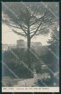 Roma Città Colosseo NPG Foto cartolina XB3216 – fronte