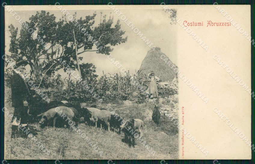 L'Aquila Costumi cartolina XB3249 – fronte