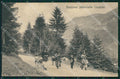 Udine Carnia cartolina XB3451 – fronte