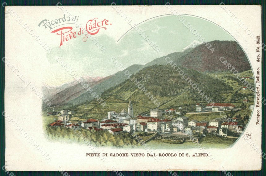 Belluno Pieve di Cadore Gruss cartolina XB3823 – fronte