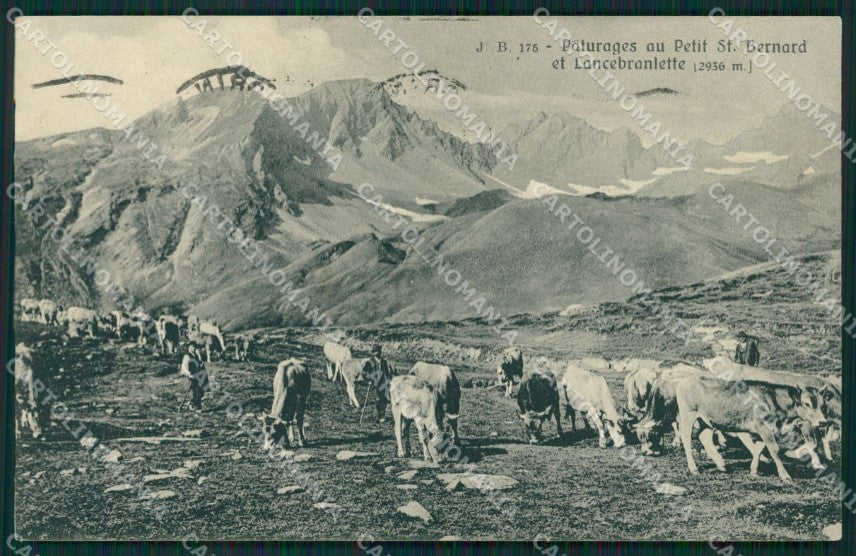 Aosta Piccolo San Bernardo cartolina XB3832 – fronte