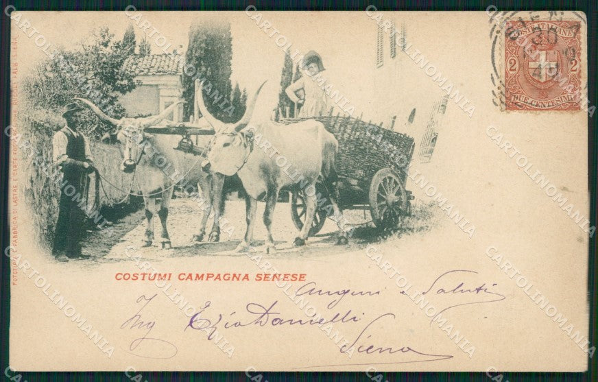 Siena Buoi Costumi cartolina XB3933 – fronte