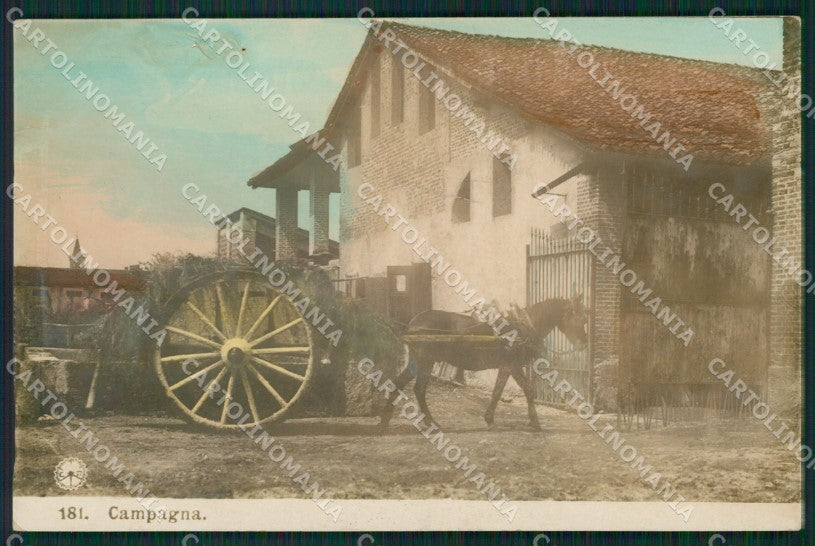 Milano Campagna Lombarda NPG foto cartolina XB4088 – fronte