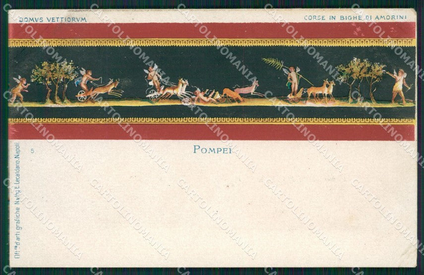 Napoli Pompei Domus Vettiorum PIEGHINA cartolina XB4531 – fronte