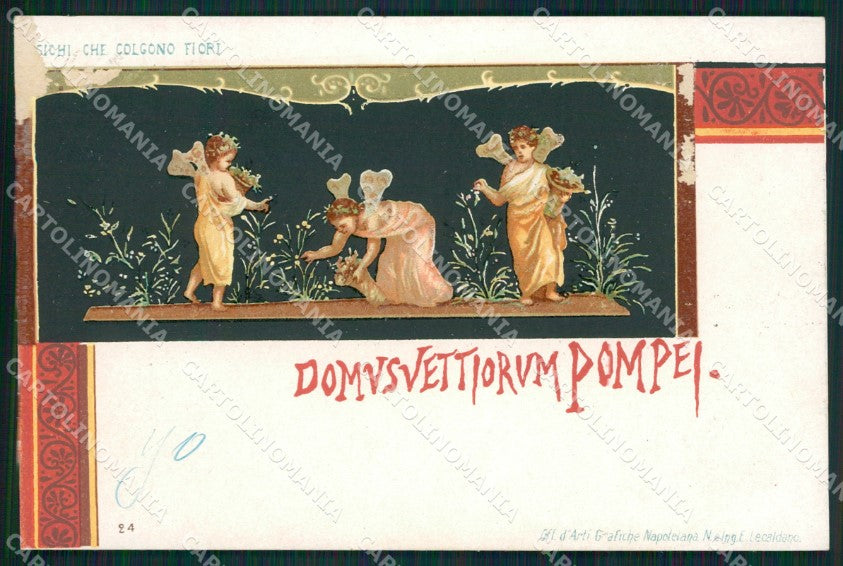 Napoli Pompei Domus Vettiorum ABRASA cartolina XB4544 – fronte