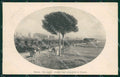 Roma Via Appia Acquedotti di Claudio cartolina XB4653 – fronte