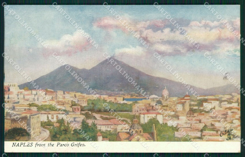 Napoli Città Parco Grifeo Vesuvio cartolina XB5352 – fronte