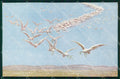 WW1 WWI Propaganda Pace Colombe cartolina XB5662 – fronte