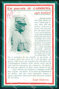 WW1 WWI Propaganda Trento Trieste Cadorna Tricolore cartolina XB5707 – fronte