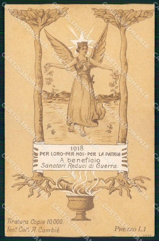 WW1 WWI Propaganda A beneficio Sanatori Reduci di Guerra cartolina XB5840 – fronte