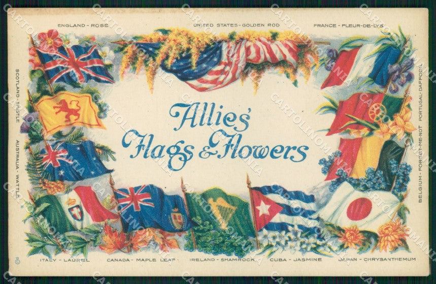 Propaganda Alleati Tricolore Flags American Y.M.C.A cartolina XB6989 – fronte