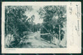 Finland Russia Punkaharju Punkuharju Russian Stamp CREASED postcard XC0598 – fronte