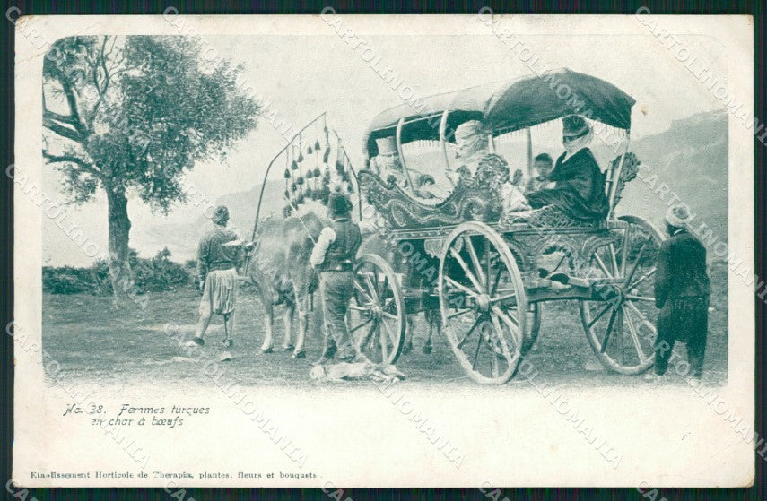 Turkey Types SOFT CREASES LITTLE TEAR postcard XC0911 – fronte