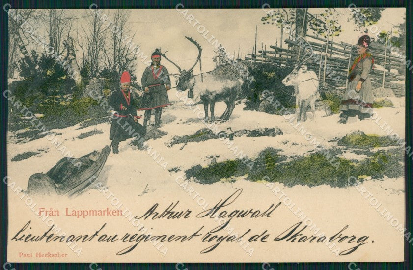 Sweden Fran Lappmarken postcard XC1130 – fronte