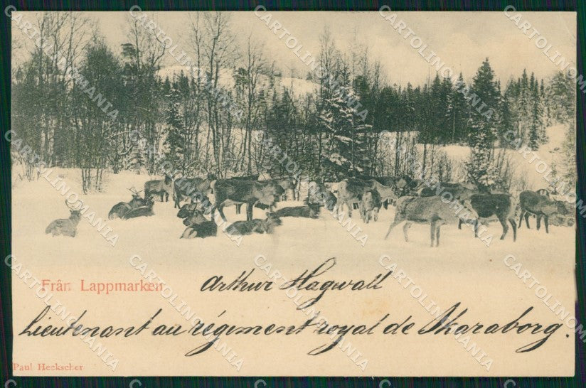 Sweden Sverige Fran Lappmarken CORNER CREASE postcard XC1194 – fronte