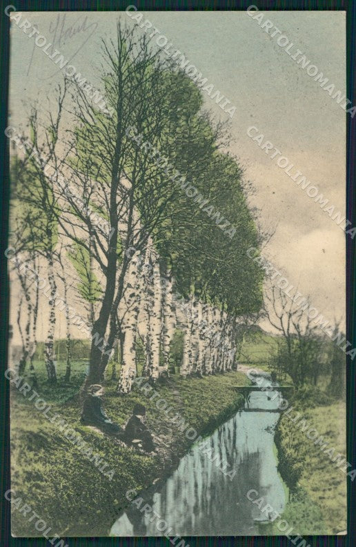 Swiss Morge Stamp postcard XC1231 – fronte